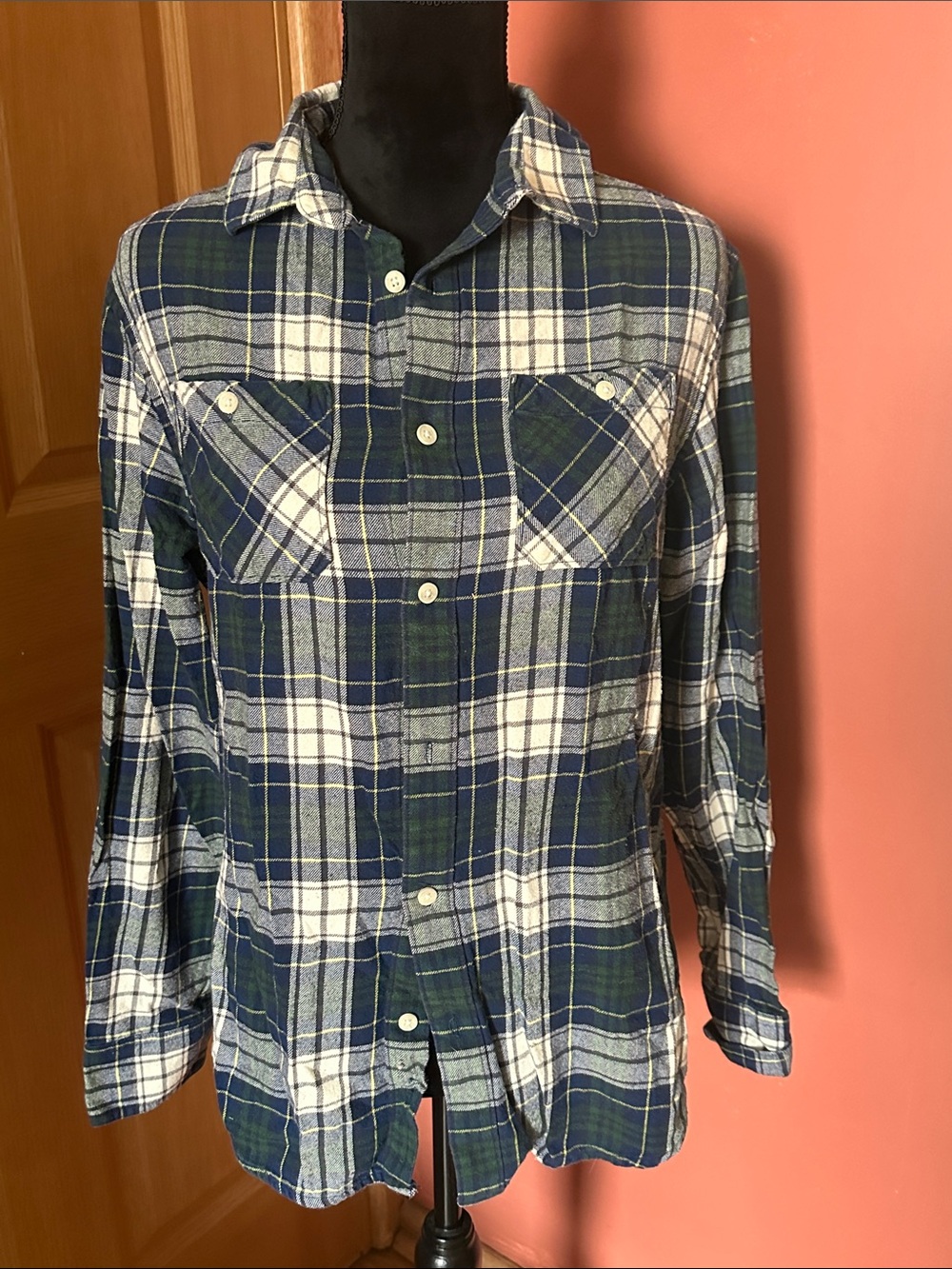 urban pipeline Blue, White & Green Plaid Button-Down Shirt